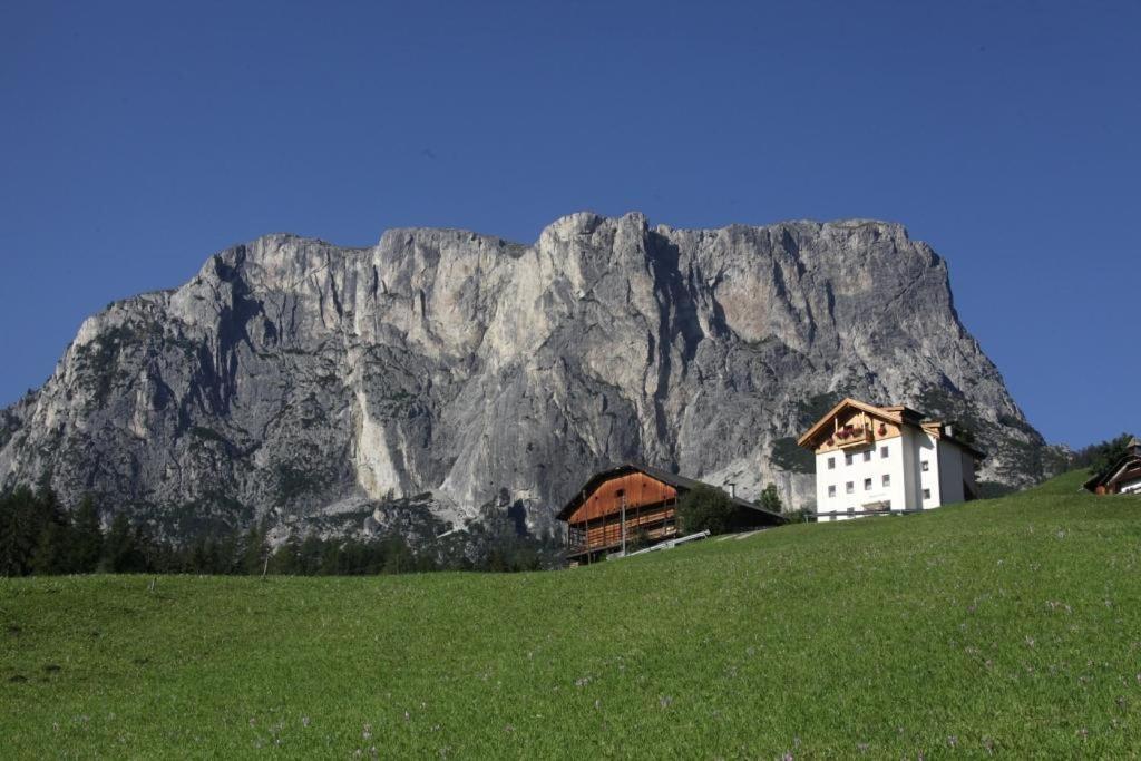 Sotgherdena Apartment Badia (South Tyrol)